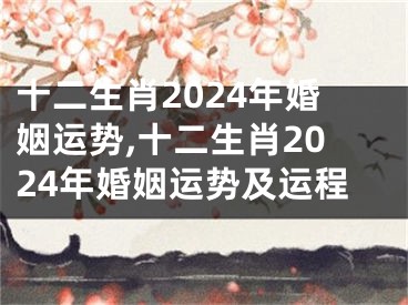 十二生肖2024年婚姻运势,十二生肖2024年婚姻运势及运程