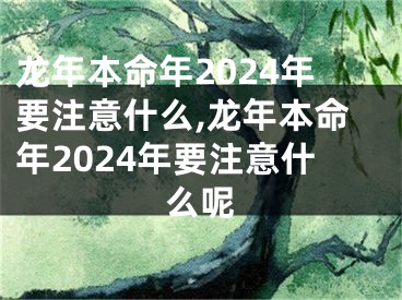 龙年本命年2024年要注意什么,龙年本命年2024年要注意什么呢