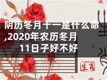 阴历冬月十一是什么命,2020年农历冬月11日子好不好