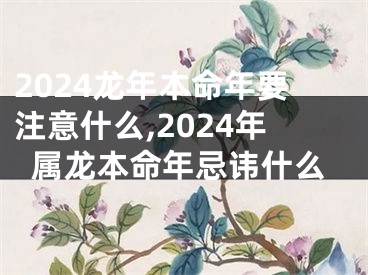 2024龙年本命年要注意什么,2024年属龙本命年忌讳什么