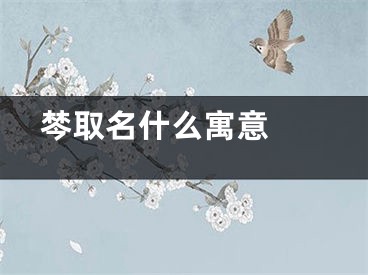  棽取名什么寓意 