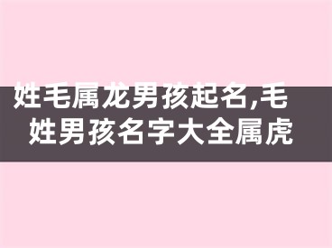 姓毛属龙男孩起名,毛姓男孩名字大全属虎