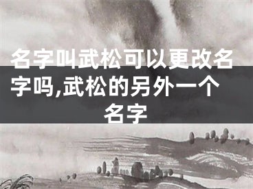 名字叫武松可以更改名字吗,武松的另外一个名字