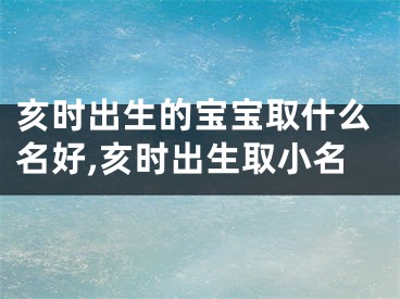 亥时出生的宝宝取什么名好,亥时出生取小名