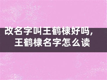 改名字叫王鹤棣好吗,王鹤棣名字怎么读