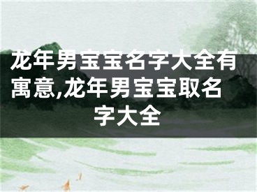 龙年男宝宝名字大全有寓意,龙年男宝宝取名字大全