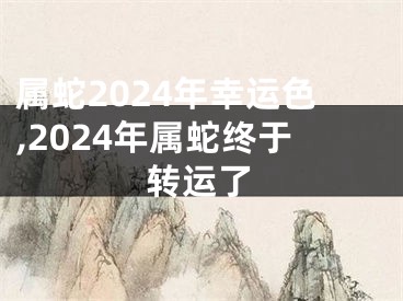 属蛇2024年幸运色,2024年属蛇终于转运了