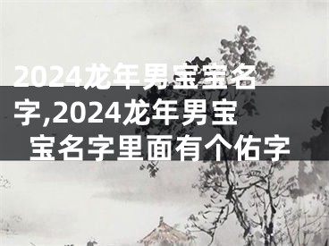 2024龙年男宝宝名字,2024龙年男宝宝名字里面有个佑字