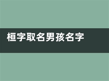  桓字取名男孩名字 