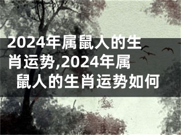 2024年属鼠人的生肖运势,2024年属鼠人的生肖运势如何