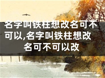 名字叫铁柱想改名可不可以,名字叫铁柱想改名可不可以改