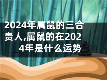 2024年属鼠的三合贵人,属鼠的在2024年是什么运势