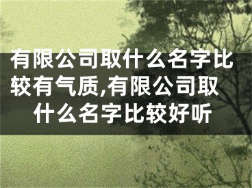 有限公司取什么名字比较有气质,有限公司取什么名字比较好听