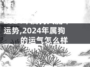 2024年属狗人流年运势,2024年属狗的运气怎么样