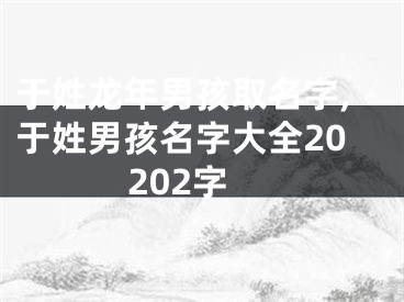 于姓龙年男孩取名字,于姓男孩名字大全20202字