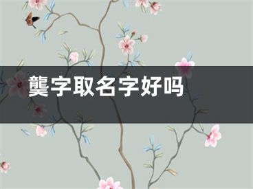  龑字取名字好吗 