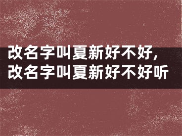 改名字叫夏新好不好,改名字叫夏新好不好听