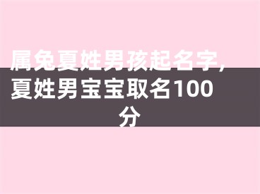 属兔夏姓男孩起名字,夏姓男宝宝取名100分