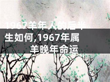 1967羊年人的后半生如何,1967年属羊晚年命运