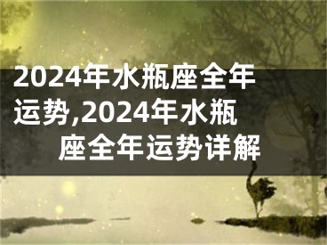 2024年水瓶座全年运势,2024年水瓶座全年运势详解