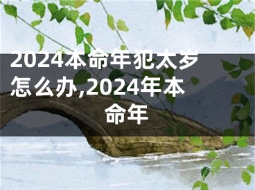 2024本命年犯太岁怎么办,2024年本命年