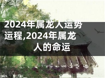 2024年属龙人运势运程,2024年属龙人的命运