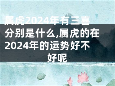 属虎2024年有三喜分别是什么,属虎的在2024年的运势好不好呢