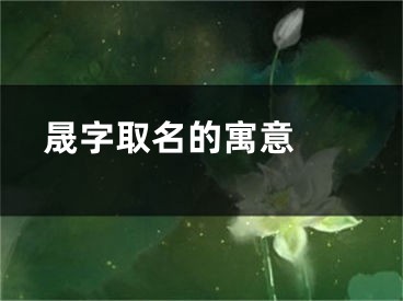  晟字取名的寓意 