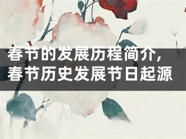 春节的发展历程简介,春节历史发展节日起源