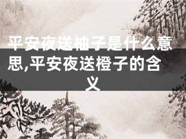 平安夜送柚子是什么意思,平安夜送橙子的含义