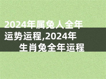 2024年属兔人全年运势运程,2024年生肖兔全年运程