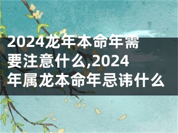 2024龙年本命年需要注意什么,2024年属龙本命年忌讳什么