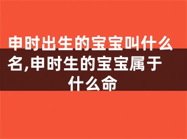 申时出生的宝宝叫什么名,申时生的宝宝属于什么命