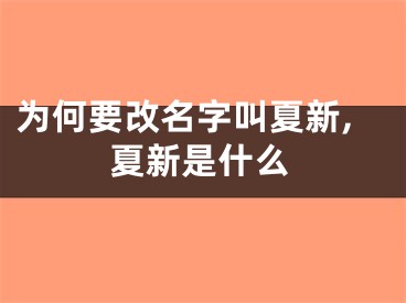 为何要改名字叫夏新,夏新是什么