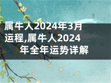 属牛人2024年3月运程,属牛人2024年全年运势详解