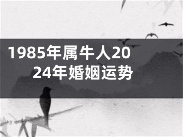 1985年属牛人2024年婚姻运势