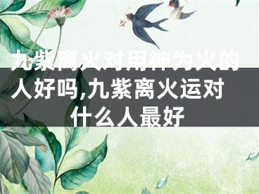 九紫离火对用神为火的人好吗,九紫离火运对什么人最好