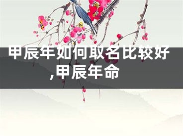 甲辰年如何取名比较好,甲辰年命