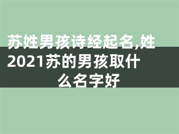 苏姓男孩诗经起名,姓2021苏的男孩取什么名字好