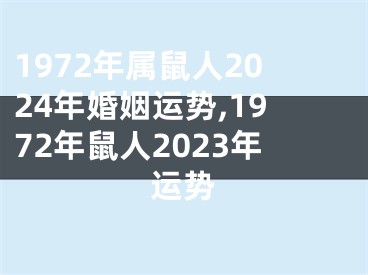 1972年属鼠人2024年婚姻运势,1972年鼠人2023年运势