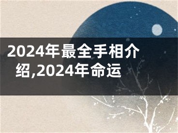 2024年最全手相介绍,2024年命运