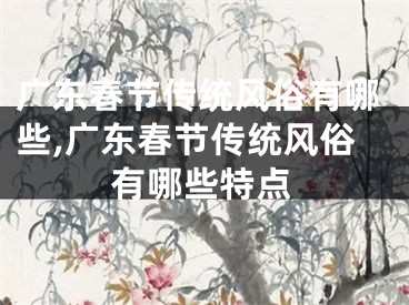 广东春节传统风俗有哪些,广东春节传统风俗有哪些特点