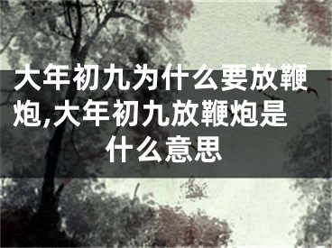 大年初九为什么要放鞭炮,大年初九放鞭炮是什么意思