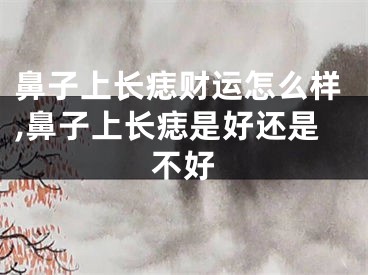 鼻子上长痣财运怎么样,鼻子上长痣是好还是不好