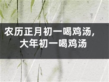 农历正月初一喝鸡汤,大年初一喝鸡汤