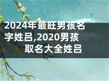 2024年最旺男孩名字姓吕,2020男孩取名大全姓吕