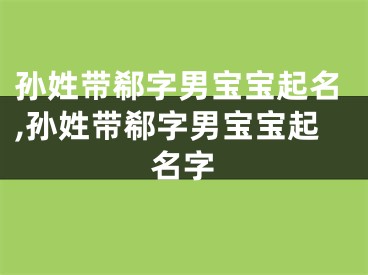 孙姓带郗字男宝宝起名,孙姓带郗字男宝宝起名字