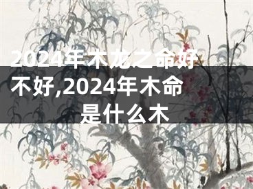 2024年木龙之命好不好,2024年木命是什么木