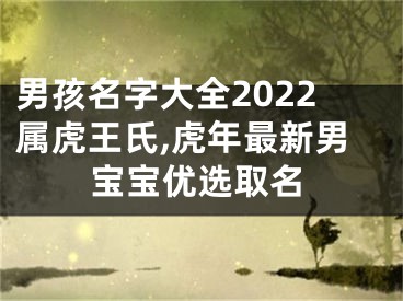 男孩名字大全2022属虎王氏,虎年最新男宝宝优选取名