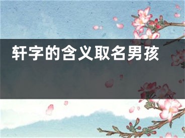  轩字的含义取名男孩 